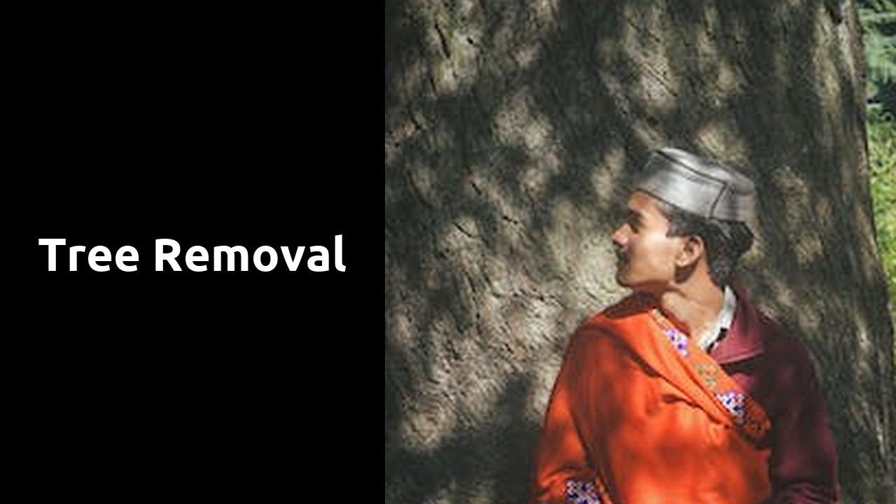 Tree Removal